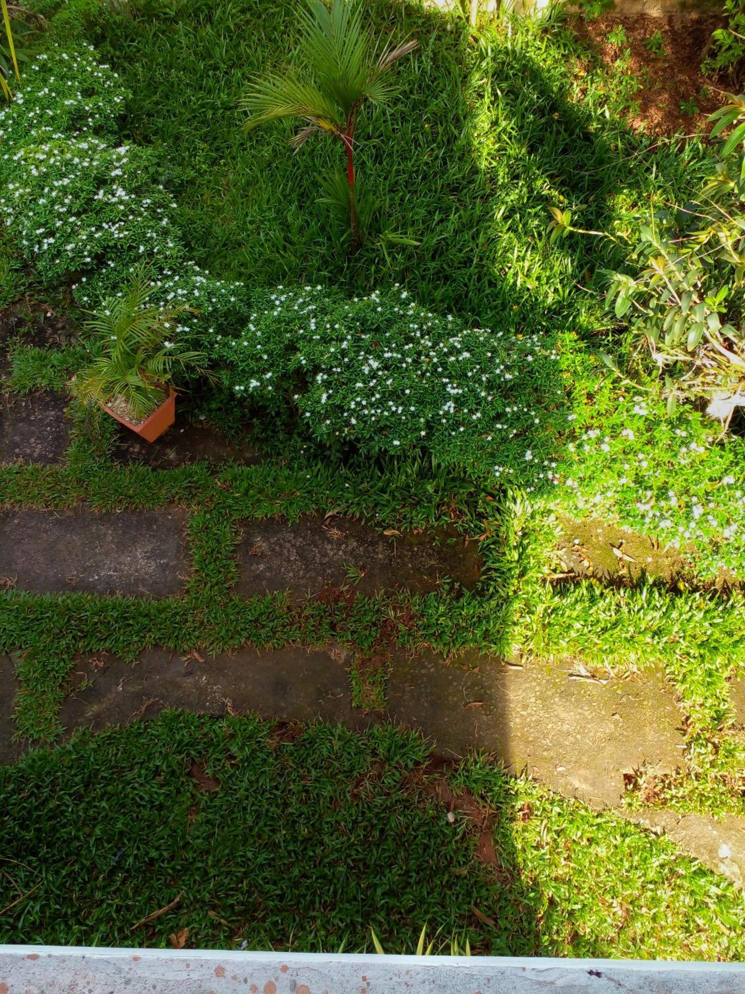 Marari God's Own Homestay Alappuzha